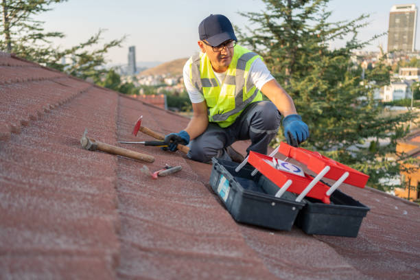 Best Vinyl Siding Installation  in Black Canyon City, AZ